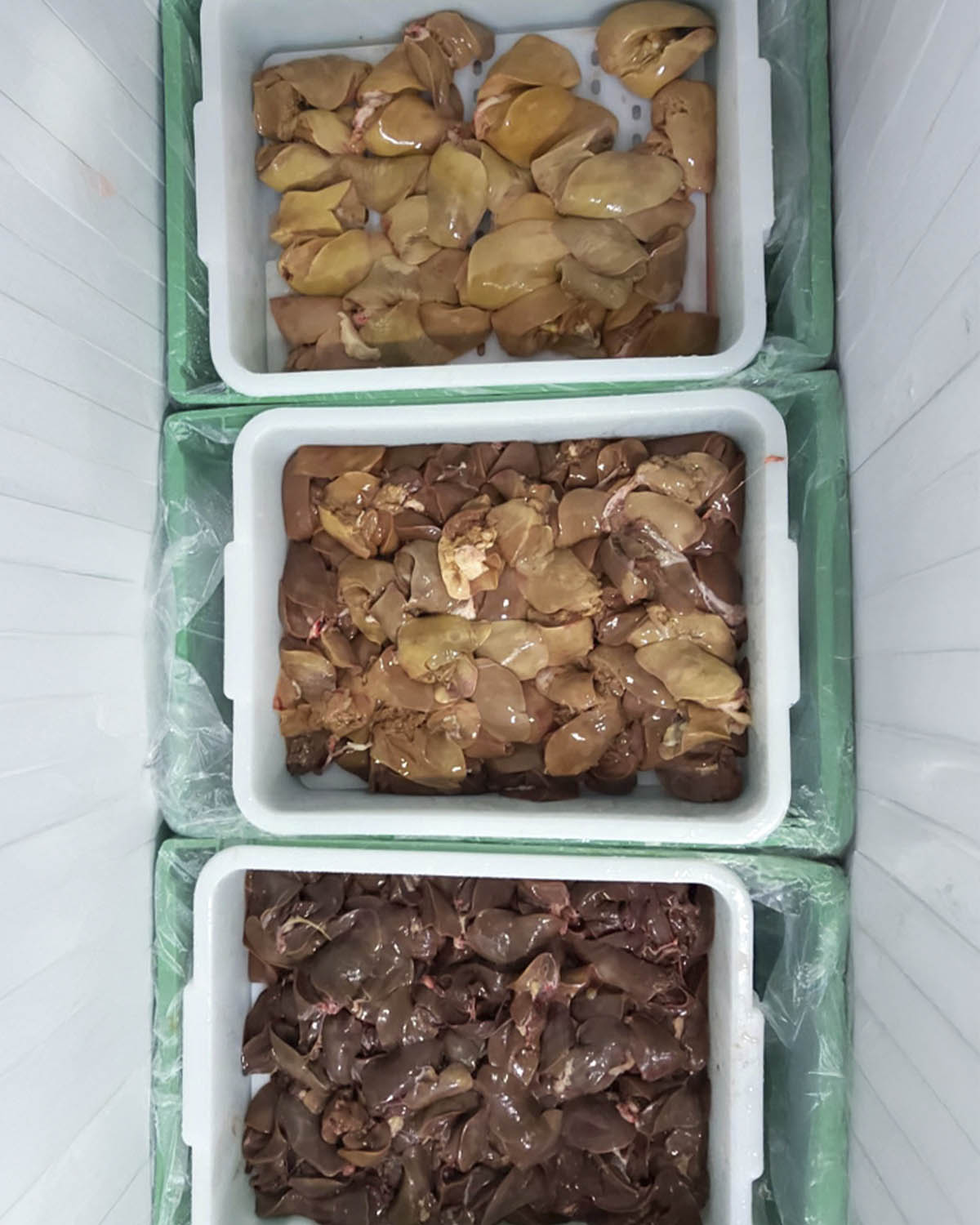 Comparativa Foie Sin alimentación forzada-Proceso lento y sin prisa_Natural Foie_labouerdette Comparativa Foie Sin alimentación forzada-Proceso lento y sin prisa_Natural Foie_labouerdette