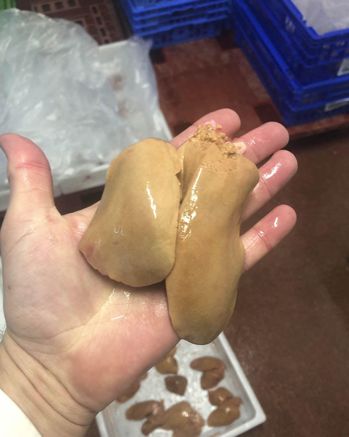 Foie Natural Sin alimentación forzada-Proceso lento y sin prisa_Natural Foie_labouerdette Foie Natural Sin alimentación forzada-Proceso lento y sin prisa_Natural Foie_labouerdette